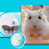 Silent Hamster Wheel Small Silent Hamster Wheel Non-Slip Pets Running Sports Exercise Wheel for Small Animal Hamster 4.7In in Diameter...