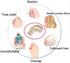 Bunion Straightener Protector Relief Sleeve w/Gel Bunion Stretchy Pads Cushioned Splint, Orthopedic Hallux Valgus Overlapping Corrector Bootie Gua...