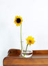 Serene Spaces Living Set of 2 Clear Ball Bud Vase, Vintage Style Vase for Flowers, Measures 4" Tall and 4" Diameter...