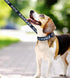 MayPaw 4FT Service Dog Leash, 1" and 1.25" Wide Nylon Dog Leash with Comfortable Neoprene Handle, Great for Medium to Extra-Large Dogs (4ft x 1.25...
