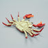 Ocean Animal Building Blocks, Deep Sea Creatures Building Toy Set for Kids Boy Girl Crab(242PCS)...