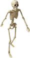 16" Halloween Skeleton Decorative,Spooky Lawn & Haunted House Props with Posable Joints,Full Body Skeleton for Yard Garden Lawn Graveyard Props De...