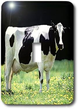 3dRose lsp_624_1 Holstein Cow Single Toggle Switch...