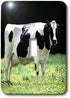 3dRose lsp_624_1 Holstein Cow Single Toggle Switch...