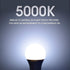 150 Watt LED Light Bulb, Super Bright A21 Daylight 5000K, Non-Dimmable, 2300lm, High Lumen Light Bulbs, UL Listed, 2-Pack...