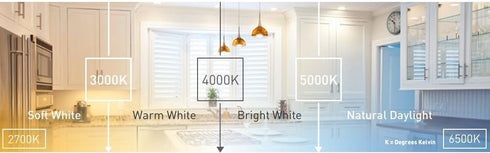 Ecosmart 8-Pack A19 - 60 Watt Equivalent Daylight (5000K) LED Light Bulb...
