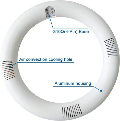 T9 LED Circline Light Bulb, 8 Inch 1600LM LED Circular Light, 13W Clear Cover 6000K Daylight Replacement for FC8T9/CW 22-Watt Fluorescent Circular...