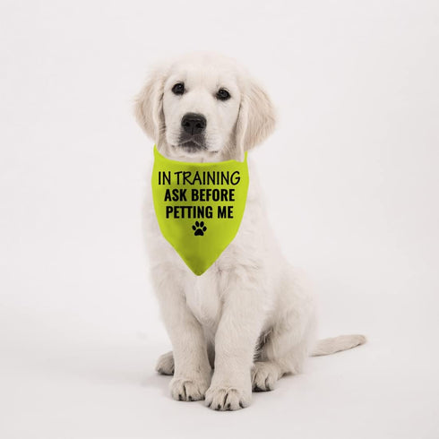 1 Piece in Training Ask Before Petting Dog Bandana Give Me Space Dog Bandana Rescue Dog Bandana (Ask Before Petting D) (Ask Before Petting D)...