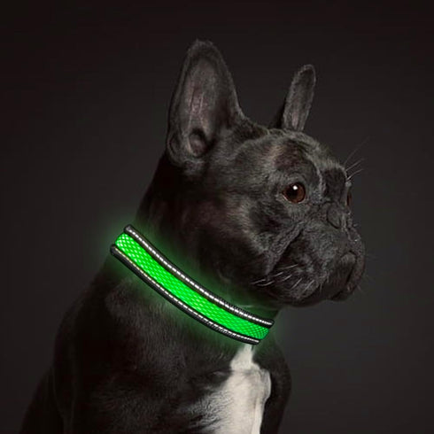 LED Dog Collar - Rechargeable USB Light Up Dog Collar - Waterproof, Multi-Mode Flashing Dog Collar (Large, Green)...