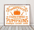 Alinacutle Farm Fresh Pumpkins Reusable Silk Screen Stencils, Self-Adhesive Silkscreen Printing Stencil for Home Decor,Paint on Wood/Fabric/Wall/C...