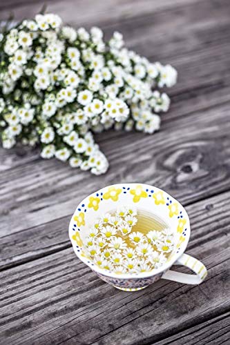 Hawaiian Paradise Tea (Chamomile) Cups - Single Serve Cups 12 Count - Sustainably Produced in Hawaii, USA - Compatible with Keurig K-Cup Brewers -...
