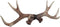 Zeckos 17 inch Lifelike Deer Antler Rack Decorative Hunting Cabin Natural Wall Hook...