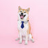 Dog Collar, Soft Polyester Dog Bow Tie with Metal Buckle for Large, Medium and Small Boys Cat Dog Tie (Medium, Blue/White)...