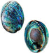 Polished Abalone Shell, 4.5" to 5.5", in Gift Box, for Smudging, Cleansing, Meditation, Home Décor and to Gift. 100% Natural Shell - Sustainably S...