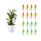 Plant Self Watering Devices, Slow Release Control Valve Switch Automatic Irrigation Watering Drip System,for Preventing Stop Water with Anti-Tilt ...