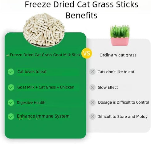 Cat Grass Teething Stick for Cat, Natural Cat Grass Treats for Indoor Cats, Cat Chew Toy for Teeth Cleaning and Hairball Treatment, Goat Milk Stic...