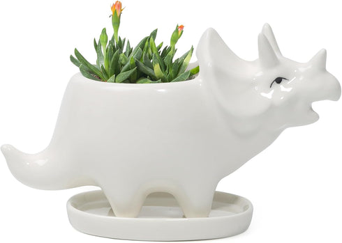 Adorable Ceramic Dinosaur Succulent Planter with Drainage for Home Decor,Animal Plant Pot, White Ceramic Triceratop Cactus/Flower Container (Trice...