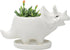 Adorable Ceramic Dinosaur Succulent Planter with Drainage for Home Decor,Animal Plant Pot, White Ceramic Triceratop Cactus/Flower Container (Trice...