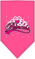 Mirage Pet Products I'm a Princess Screen Print Bandana for Pets, Large, Yellow...