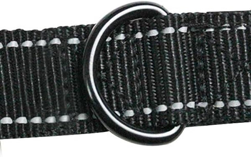 MODUS Reflective Leash for Dogs, Double-Sided Nylon Dog Training Leash with Comfortable Padded Handle, 6.6FT/15FT Traction Rope for Small Medium L...