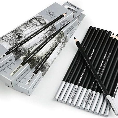 12pcs Sketch Charcoal Pencil, Professional Non-toxic Drawing Sketching Blending Charcoal Pencils Set (Hard, Medium, Soft)(Soft)...