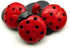 50 PCS Plastic Ladybug Shank Buttons Tag Embellishments Ornaments Craft Buttons for Sewing...