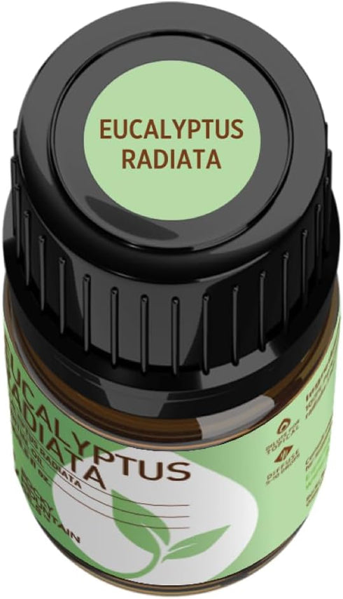 Rocky Mountain Oils Eucalyptus Radiata Essential Oil - Aromatherapy Essential Oils for Diffuser, Topical, and Home - 15ml...