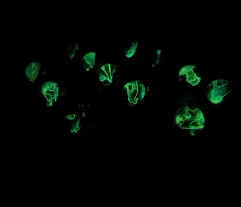 Zodiac 12 Constellations Charm Luminous Crystal Ball Pendant Key chain...