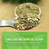 Quintal MX Mexican Natural Oregano Leaves (6 Oz) - Dried Oregano Leaves for Mexican Cuisine & Spices - Mexican seasoning Oregano Dried Leaves - Fr...