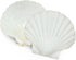 6PCS Scallop Shells for Serving Food,Baking Shells Large Natural White Scallops from Sea Beach for DIY Craft Decor 4-5 Inches...