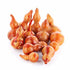 12 Piece Package Mottled Orange Dried Natural Gourds | Dried Gourds for Fall Decor...