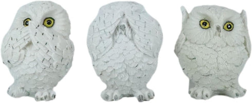 Ebros See Hear Speak No Evil Fat Baby White Owls Figurines Set of 3 Decor Wisdom of The Woods Nocturnal Snow Owl Bird Themed Chibi Owlets Collecti...