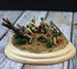 80 Pcs Green Bushy Tufts Lowland Shrubs Tuft Static Grass Vegetation Groups Railway Artificial Grass War Gaming Terrain Decoration Railroad Scener...
