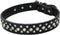 Dogs Kingdom 14.5"-20" Genuine Leather Padded Rhinestone Dog Collars Bling Dog Collar Pet Collar Small Medium Dog Customized Crystal Dog Collar Bl...