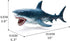 Gemini&Genius Sea Animal Great White Shark Action Figure Megalodon Shark Model Toy Soft Rubber Realistic Ocean Shark Educational and Role Play Toy...