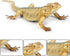 Realistic Lizard Animal Model Toys 2 Pcs Simulated Lizard Reptile Figurine Collection Playset Science Educational Props...