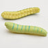 24Pcs Simulation Caterpillar Plastic Fake Worm Crawling Halloween Prank Toy Educational Learning Toys for Kids (Random Style)...