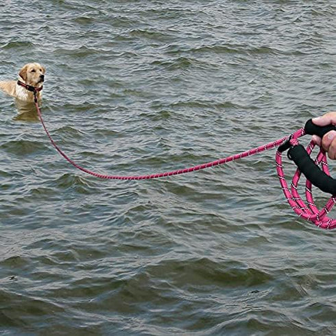 Plutus Pet Long Rope Dog Leash, with Comfortable Padded Handle, Reflective Nylon Heavy Duty Rope Leash, 15FT 20FT 30FT Dog Training Leash for Smal...