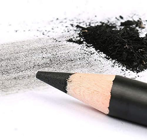 12pcs Sketch Charcoal Pencil, Professional Non-toxic Drawing Sketching Blending Charcoal Pencils Set (Hard, Medium, Soft)(Soft)...