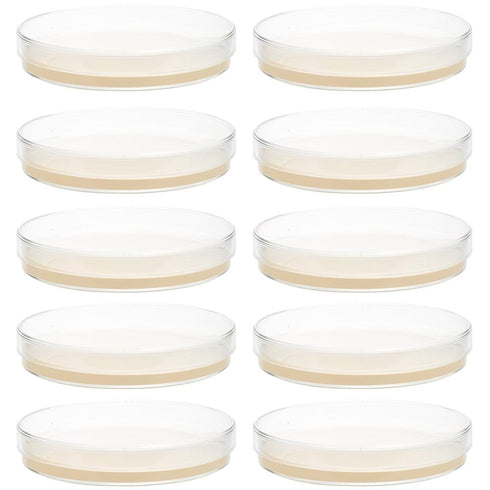 10Pcs Nutrient Agar Petri Dishes Science Project Kit, Pre-Poured Agar Plates, Agar Plates Prepoured Supplies for Students...