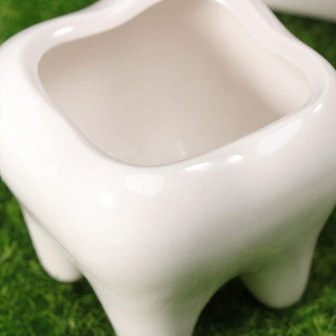 Ceramic Planter Ceramic Planter 2pcs Ceramic Tooth Planter Mini Porcelain Succulents Flower Pot Cute Pen Pencil Holder for Office Home Desk Decor ...