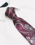 Paisley Ties For Men – Tie Set With Pocket Square Cufflinks & Flower Brooch Pin For Mens (APN1) (Pack of 4)...