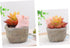 Yardwe 1pc Ceramic Planter Plant Pots Ceramic Cactus Planter Resin Planter Unique Pot Resin Pot Decorative Airplant Pot Cactus Pot Mini Container ...