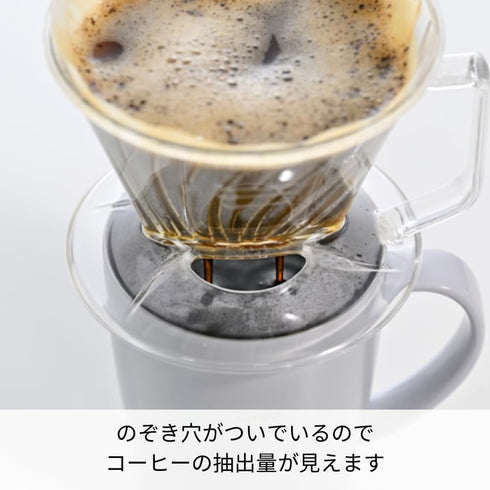 Hario Pegasus Flat Bottom Dripper, Size 02, Clear...