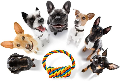 Twisted Rope tuggable chew Toy for Dogs...