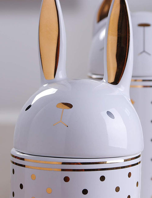 HAUCOZE Rabbit Cookie Jar Decorative Candy Jar with Lid Modern Arts Gifts Ceramic 8.1inch...