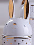 HAUCOZE Rabbit Cookie Jar Decorative Candy Jar with Lid Modern Arts Gifts Ceramic 8.1inch...