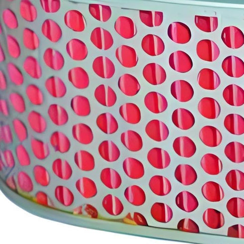 HiFloFiltro HFA1710 Premium OEM Replacement Air Filter, Single...