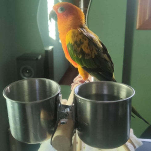 Parrot Feeding Cups Hanging Pet Animal Stainless Steel Birdcage Bowls Bird Bowls for Cage Parakeet Bird Cage Accessories Suitable Small and Medium...