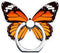 Butterfly Phone Ring Stand Holder, 360 Rotation Finger Ring Grip Stand for Cell Phones, Smartphones and Tablets...